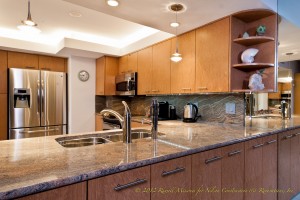 Nelson Construction Luxury Home Project